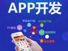 为什么app开发价格高？